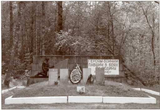 Иллюстрация к книге — Танки в Зимней войне [i_155.jpg]