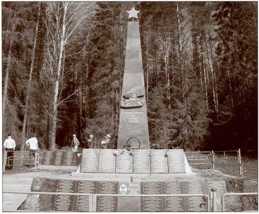 Иллюстрация к книге — Танки в Зимней войне [i_156.jpg]