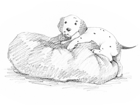 Иллюстрация к книге — Щенок Оскар, или Секрет счастливого Рождества [i_012.jpg]