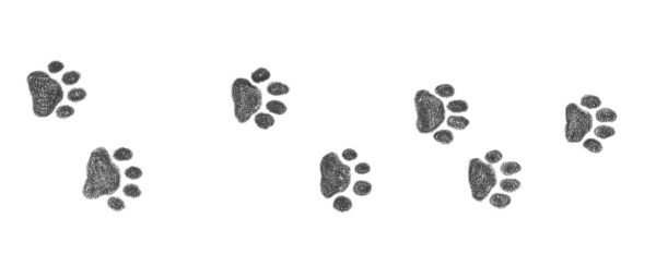 Иллюстрация к книге — Щенок Оскар, или Секрет счастливого Рождества [i_014.jpg]