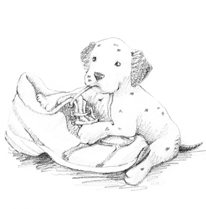 Иллюстрация к книге — Щенок Оскар, или Секрет счастливого Рождества [i_020.jpg]