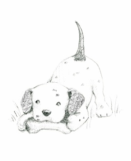 Иллюстрация к книге — Щенок Оскар, или Секрет счастливого Рождества [i_038.jpg]