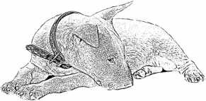 Иллюстрация к книге — Последний подарок [i_008.jpg]