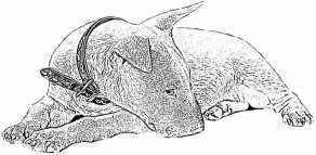 Иллюстрация к книге — Последний подарок [i_013.jpg]