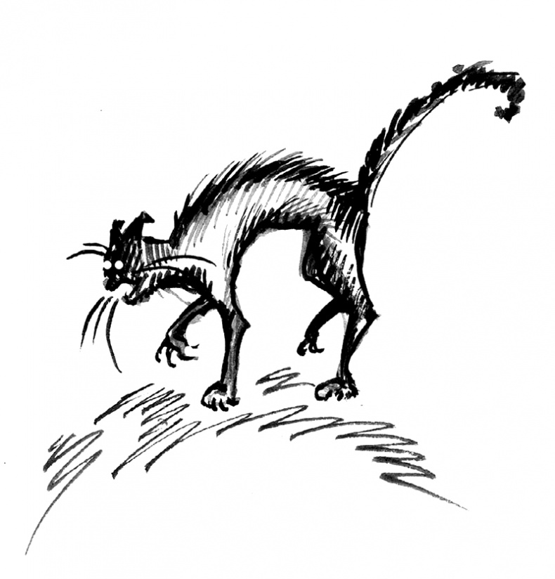 Иллюстрация к книге — Некромант [i_021.jpg]