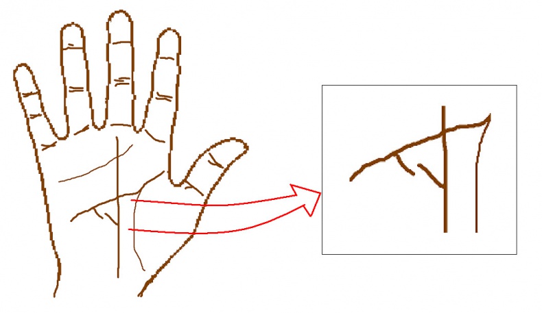 Иллюстрация к книге — Денежная книга [image13_55bf92660327fdea3ae258cc_jpg.jpg]