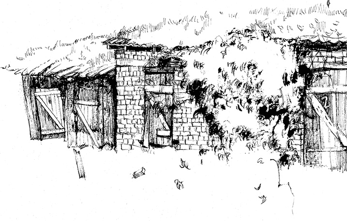 Иллюстрация к книге — Сказки cтарого Вильнюса [i_001.jpg]