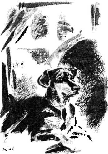 Иллюстрация к книге — Смешные и печальные истории из жизни любителей ружейной охоты и ужения рыбы [i_022.jpg]