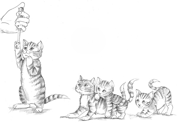 Иллюстрация к книге — Котёнок Белла, или Любопытный носик [i_003.jpg]