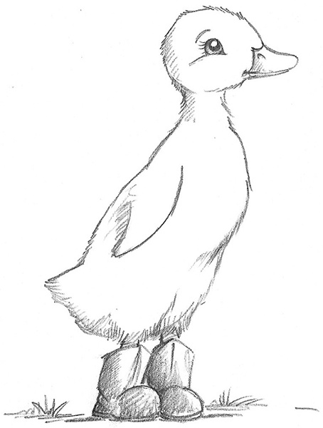 Иллюстрация к книге — Котёнок Белла, или Любопытный носик [i_012.jpg]