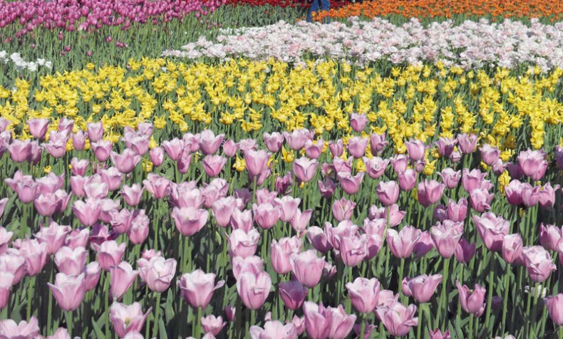 Иллюстрация к книге — Возвращение блудного сына [i_006.jpg]