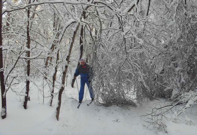 Иллюстрация к книге — Возвращение блудного сына [i_017.jpg]