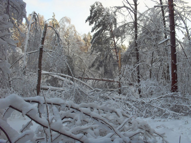 Иллюстрация к книге — Возвращение блудного сына [i_020.jpg]