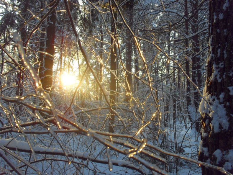 Иллюстрация к книге — Возвращение блудного сына [i_022.jpg]