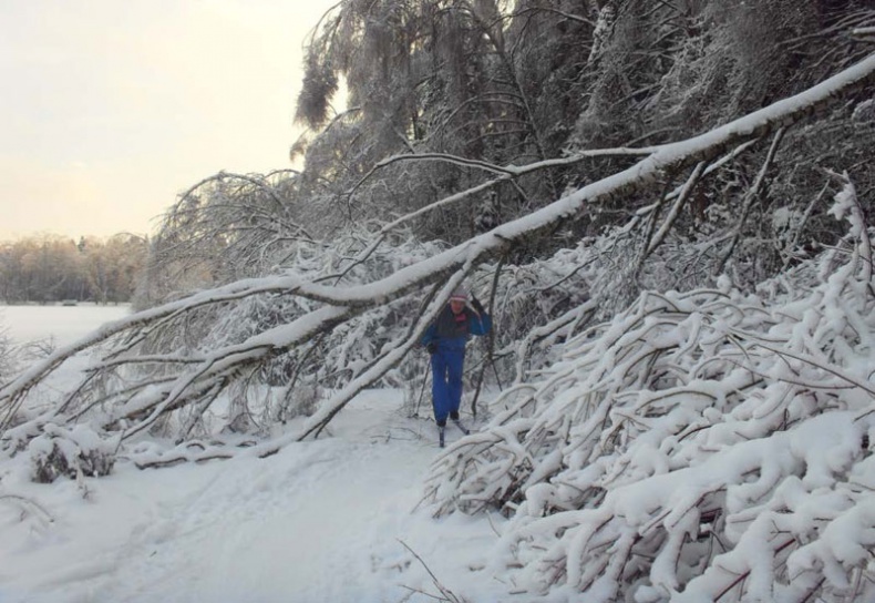 Иллюстрация к книге — Возвращение блудного сына [i_025.jpg]