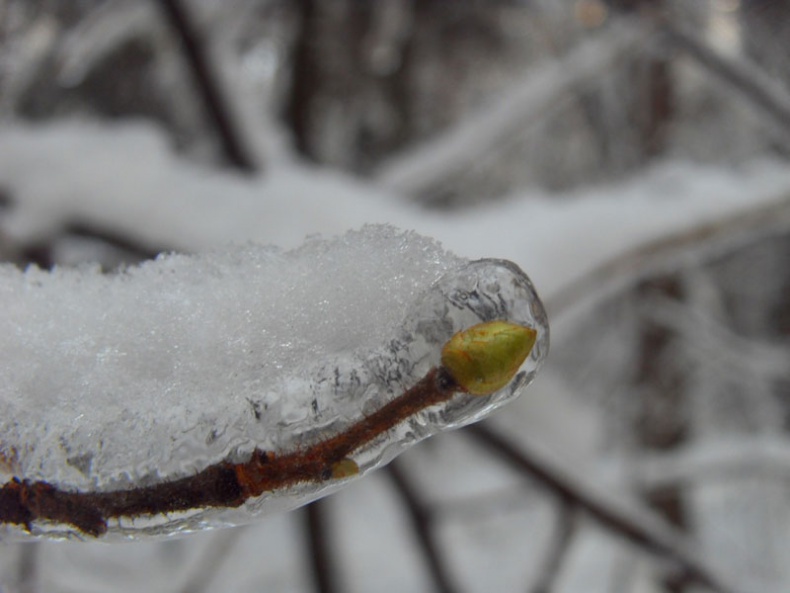 Иллюстрация к книге — Возвращение блудного сына [i_027.jpg]