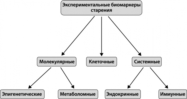 Иллюстрация к книге — Как победить свой возраст? 8 уникальных способов, которые помогут достичь долголетия [_017.jpg]