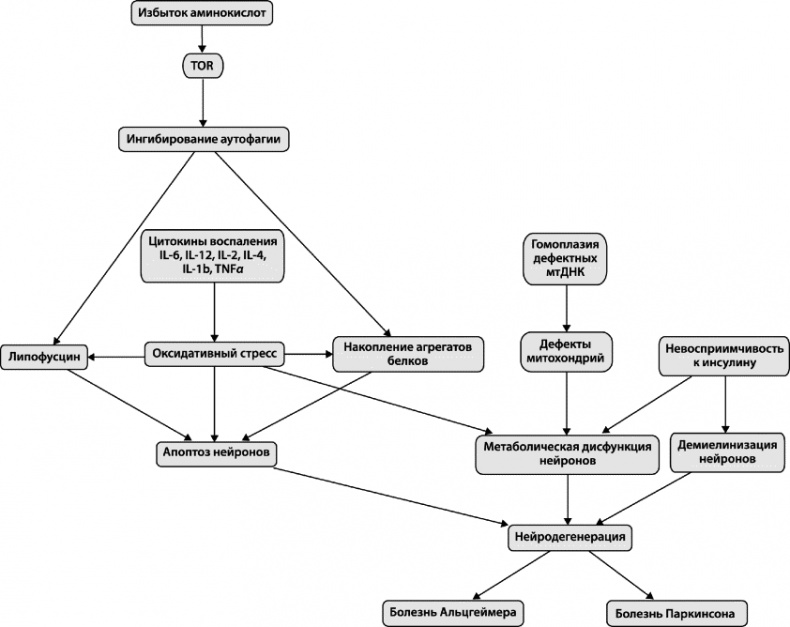 Иллюстрация к книге — Как победить свой возраст? 8 уникальных способов, которые помогут достичь долголетия [_133.jpg]