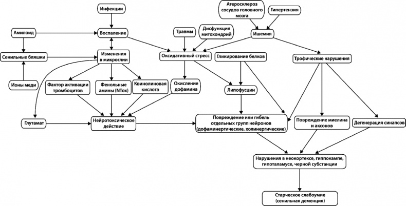 Иллюстрация к книге — Как победить свой возраст? 8 уникальных способов, которые помогут достичь долголетия [_134.jpg]