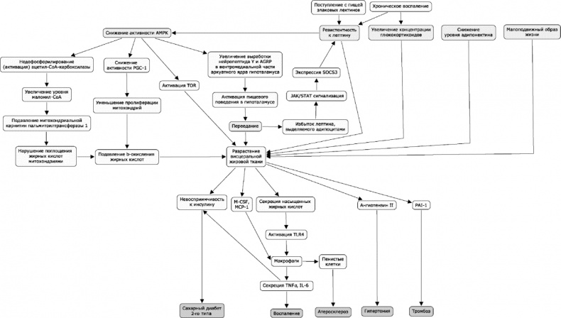 Иллюстрация к книге — Как победить свой возраст? 8 уникальных способов, которые помогут достичь долголетия [_166.jpg]