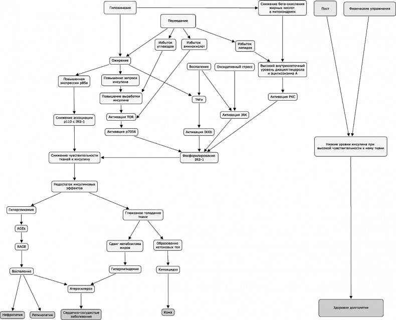Иллюстрация к книге — Как победить свой возраст? 8 уникальных способов, которые помогут достичь долголетия [_168_169.jpg]