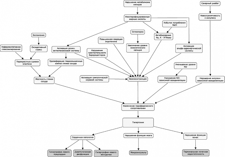 Иллюстрация к книге — Как победить свой возраст? 8 уникальных способов, которые помогут достичь долголетия [_180_181.jpg]