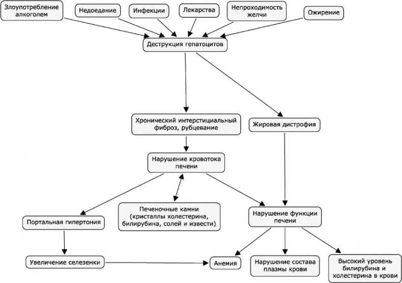 Иллюстрация к книге — Как победить свой возраст? 8 уникальных способов, которые помогут достичь долголетия [_184.jpg]