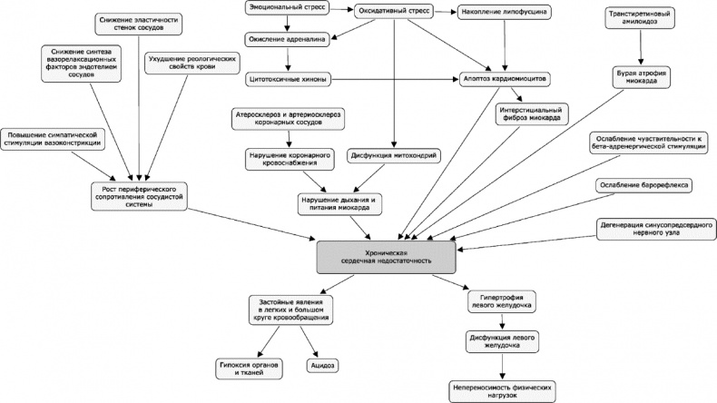 Иллюстрация к книге — Как победить свой возраст? 8 уникальных способов, которые помогут достичь долголетия [_191.jpg]