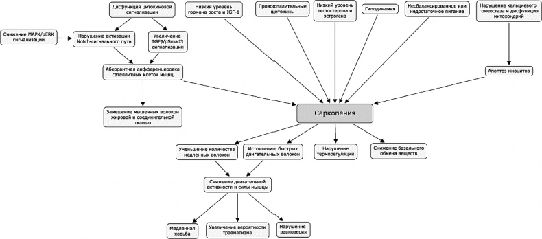 Иллюстрация к книге — Как победить свой возраст? 8 уникальных способов, которые помогут достичь долголетия [_214_215.jpg]