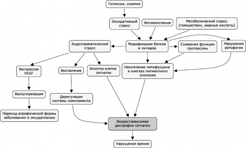 Иллюстрация к книге — Как победить свой возраст? 8 уникальных способов, которые помогут достичь долголетия [_225.jpg]