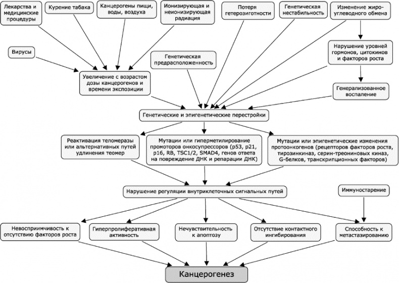 Иллюстрация к книге — Как победить свой возраст? 8 уникальных способов, которые помогут достичь долголетия [_228.jpg]