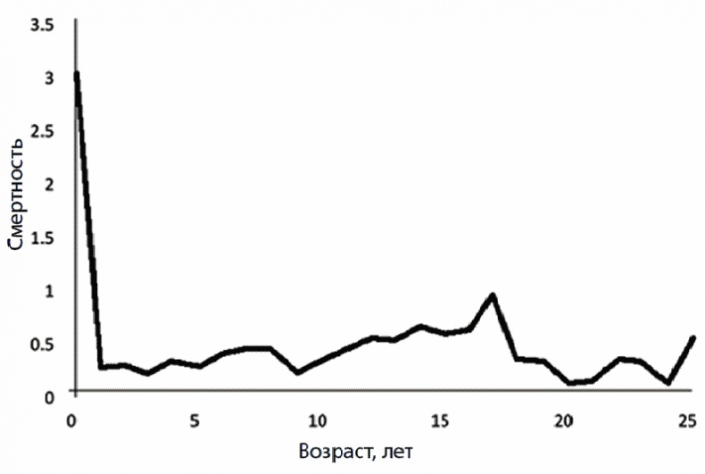 Иллюстрация к книге — 120 лет жизни – только начало. Как победить старение? [i_001.jpg]