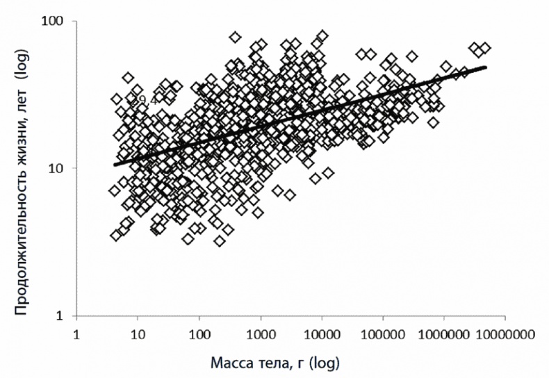 Иллюстрация к книге — 120 лет жизни – только начало. Как победить старение? [i_004.jpg]