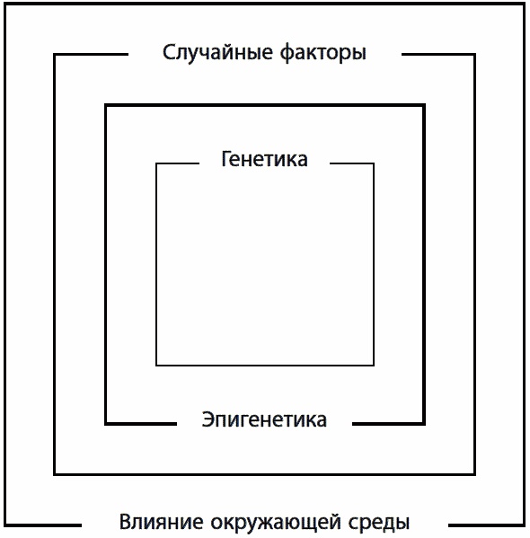 Иллюстрация к книге — 120 лет жизни – только начало. Как победить старение? [i_010.jpg]