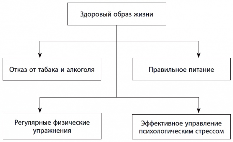 Иллюстрация к книге — 120 лет жизни – только начало. Как победить старение? [i_014.jpg]
