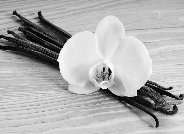 Иллюстрация к книге — Тайны Поднебесной. Все, что нужно знать о Китае [_393.jpg]