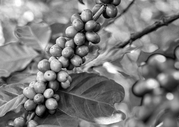 Иллюстрация к книге — Тайны Поднебесной. Все, что нужно знать о Китае [_419.jpg]