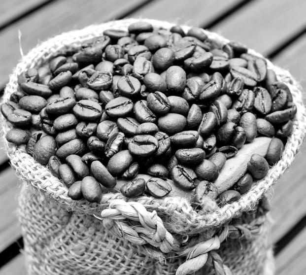 Иллюстрация к книге — Тайны Поднебесной. Все, что нужно знать о Китае [_419_2.jpg]