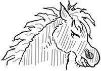 Иллюстрация к книге — Подруги навсегда! [i_019.jpg]