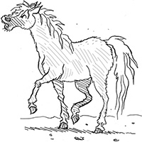 Иллюстрация к книге — Подруги навсегда! [i_036.jpg]