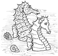 Иллюстрация к книге — Подруги навсегда! [i_040.jpg]