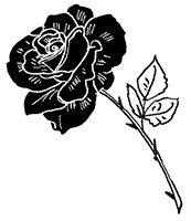 Иллюстрация к книге — Моя сестра Джоди [i_015.jpg]