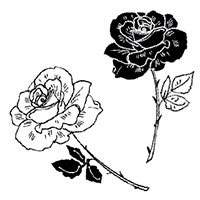 Иллюстрация к книге — Моя сестра Джоди [i_045.jpg]