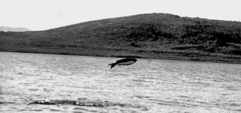 Иллюстрация к книге — Кристалл в прозрачной оправе [i_004.jpg]