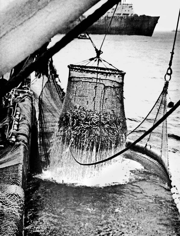 Иллюстрация к книге — Кристалл в прозрачной оправе [i_007.jpg]