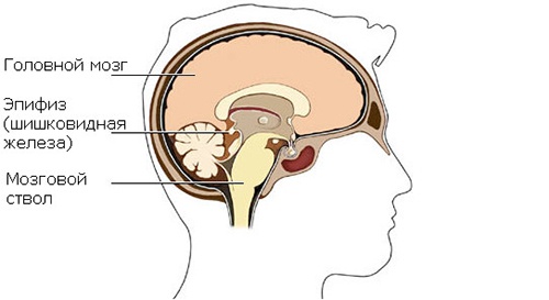 Иллюстрация к книге — Кластеры [i_001.jpg]