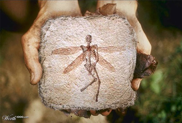 Иллюстрация к книге — Кластеры [i_018.jpg]