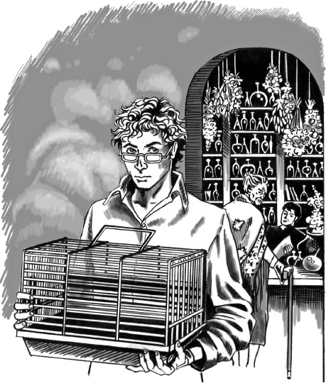 Иллюстрация к книге — Магия на грани дозволенного [i_023.jpg]