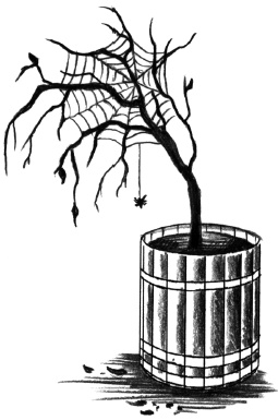 Иллюстрация к книге — Магия на грани дозволенного [i_081.jpg]