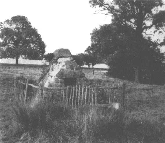 Иллюстрация к книге — Ричард III и битва при Босворте [i_025.jpg]